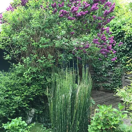 Tuynhuys Appartement s-Gravenzande