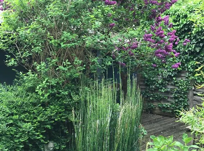 Tuynhuys アパート ス・グラーヴェンザンデ